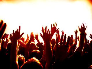 crowd of people dancing at concert