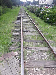 Walking along a railroad in the countryside of Brazil