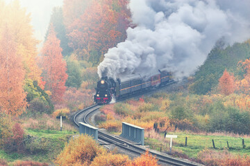 Retro steam train moves along the forest.