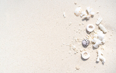 Minimalistic background with white sand and seashells