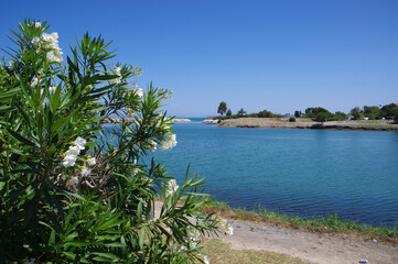 Fototapeta na wymiar vista mare dall'egitto villaggio turistico