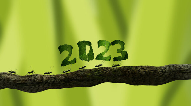 fourmis qui portent le nombre 2023 - rendu 3D