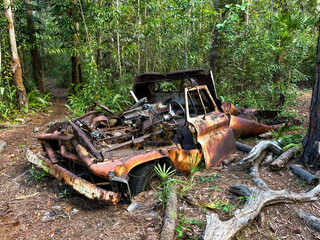 Fototapeta na wymiar old rusty truck in the forest, Greenacres, Florida USA