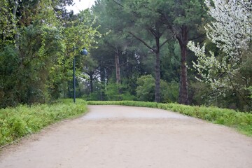 path in the park
