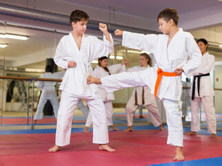 Sporty teenager boys practicing karate in pair during group self defence course in gym