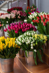 Many different colors on the stand table in the flower shop. Showcase. Background of mix of flowers. Beautiful flowers for catalog or online store. Floral shop and delivery concept.