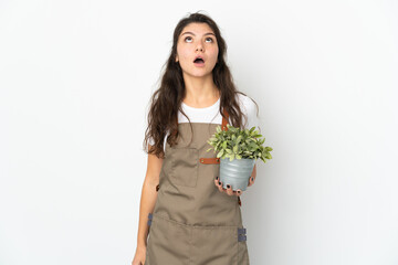 Young Russian gardener girl holding a plant isolated looking up and with surprised expression