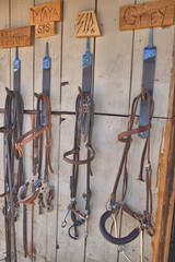 Horse supplies in a tack shed on a ranch