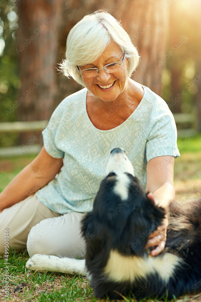 Canvas Prints Whos a good boy. Shot of a happy senior woman relaxing in a park with her dog.