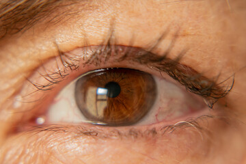 macro de ojo color café, pestañas, iris, iridología, colores cafés de ojo, pequeñas venas...