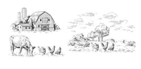 farm hand drawing sketch engraving illustration style - obrazy, fototapety, plakaty