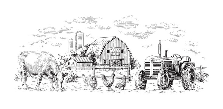 farm hand drawing sketch engraving illustration style