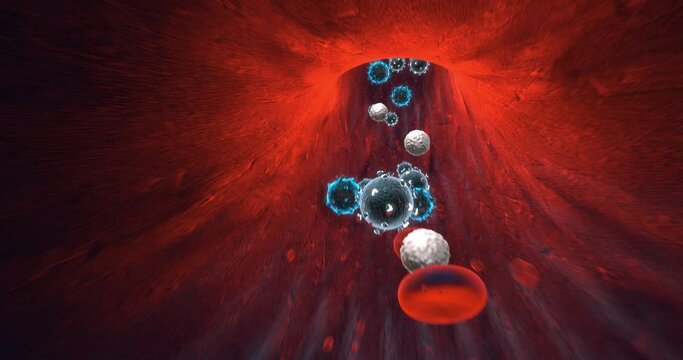 Unhealthy Red Blood Cells Flowing Inside Human Vein With Viruses. Pandemic Disease. Perfect Loop. Science And Health Related 3D Animation.