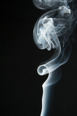 abstract real white smoke swirls black background