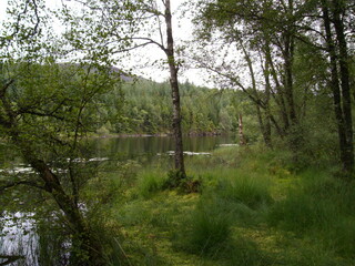 Naturschutzgebiet und See Loch Ard