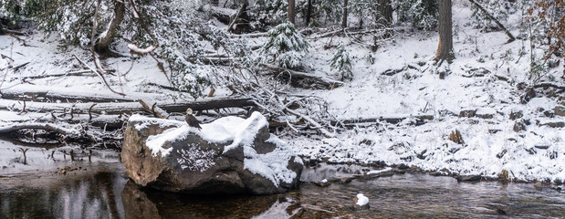 water flowing into the river