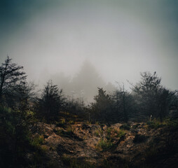 fog in the mountains