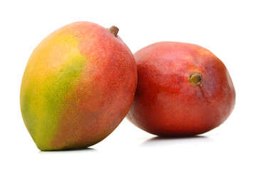 Mango fruits isolated on white background