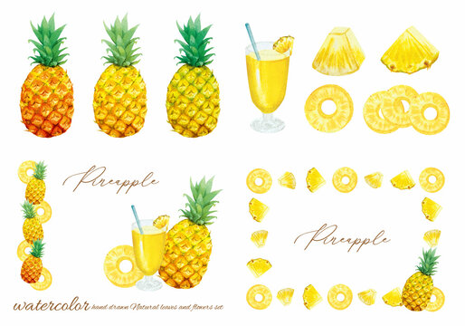 パインアップル Images Browse 1 436 Stock Photos Vectors And Video Adobe Stock パインアップル Images Browse 1 436 Stock Photos Vectors And Video Adobe Stock