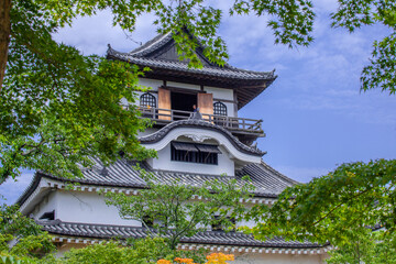 Obraz premium 国宝犬山城