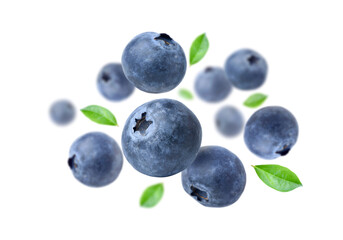 Blueberries with leaves  levitate isolated on a white background. - obrazy, fototapety, plakaty