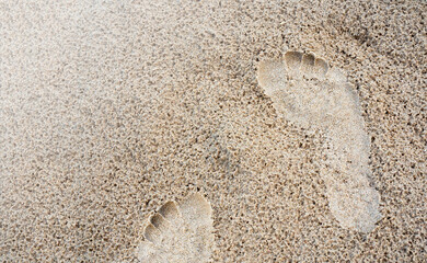 Fototapeta na wymiar Closeup footprint in the sand beach background. Human foot step track on the wet sand texture with copy space, top view. Vacation, holiday, and summer concept.