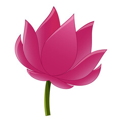 Indian Lotus