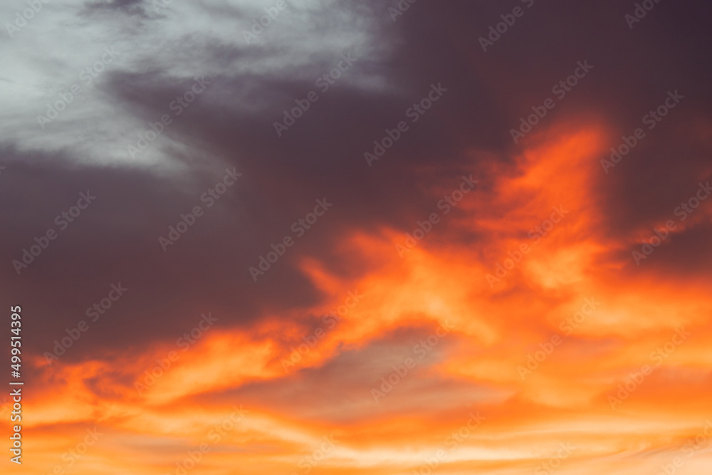 Wall mural a beautiful orange sky at sunrise time.