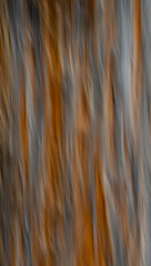 abstract motion blur of close up of tree with splitting bark special movement effect crested by intentional camera movement vertically with long time exposure fun with shutter speed rust and grey