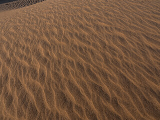 Close up texture of a sand dune sculpted by wind