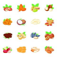 Collection of Nuts Isometric Icons 