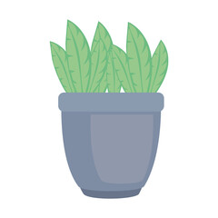 houseplant with gray pot