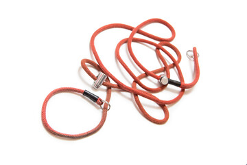 Fototapeta premium Dog leash on a white background