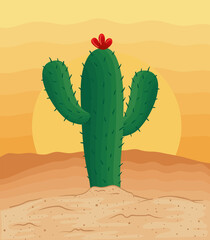 cactu in desert