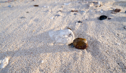 pebbles on the beach, filled with grains of sand