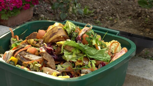 A bin filled with materials that comprise green waste, such as kitchen food wastes and plant trimmings. Organic biodegradable waste container, composting