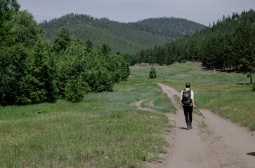 Obraz premium Walking on a summer day on a dirt road in the middle of the forest.