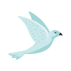dove bird flying