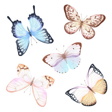 Watercolor butterflies clipart set isolated on white background. Beautiful abstract decoration. Hand painted butterfly illustration. Spring and summer design, bright decor 