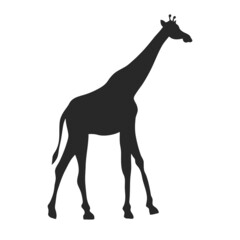 african giraffe silhouette
