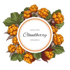 Cloudberry round frame banner or food label, sketch vector illustration isolated on white background.