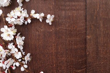Obraz na płótnie Canvas Apricot blossoms on branches on wooden background. Top view