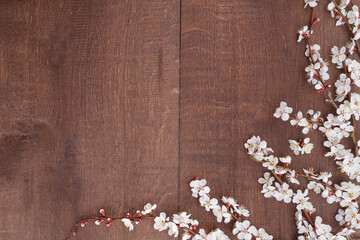 Apricot blossoms on branches on wooden background. Top view