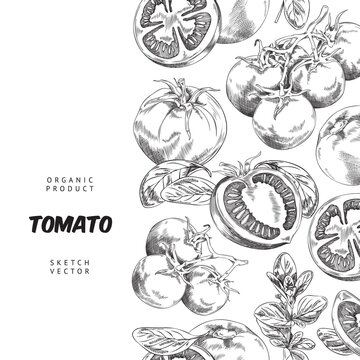 Tomato decorative backdrop etched or engraved style vector illustration. © sabelskaya