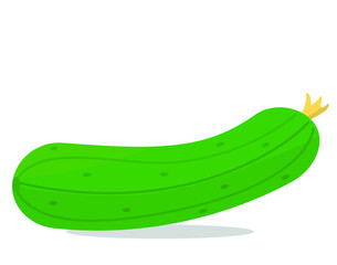 Cucumber. Vegetables. Healthy diet. Flat design.