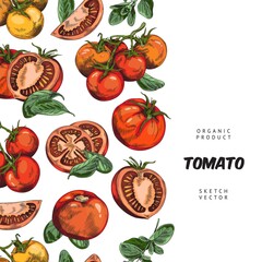 Banner with hand drawn different tomatoes about organic product sketch style