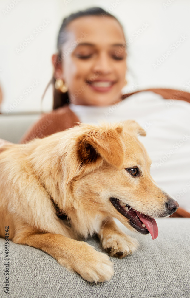 Wall mural The gentlest of the gentle. Shot of a beautiful young woman relaxing on the couch with her dog at home.