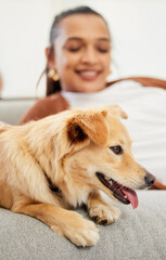 The gentlest of the gentle. Shot of a beautiful young woman relaxing on the couch with her dog at home.