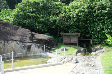 Poring is known for its hot sulphur spring bath which was first developed by the Japanese during...