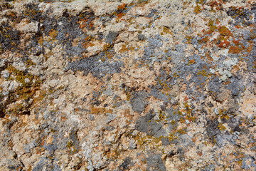 texture of stone